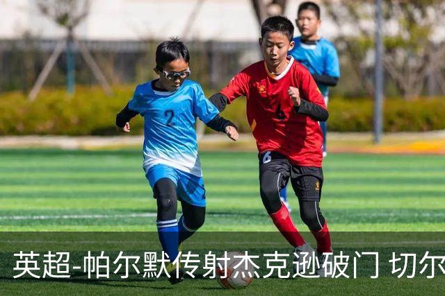 英超-帕尔默传射杰克逊破门 切尔西3-2纽卡斯尔